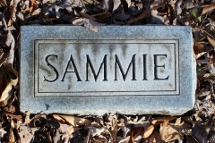 Cow-Creek-Cemetery-Sammie-Tipton-Name