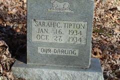 Cow-Creek-Cemetery-Sarah-C.-Tipton