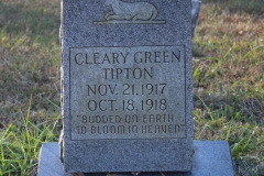 Crowe-Cemetery-Cleary-Green-Tipton