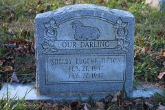 Crowe-Cemetery-Shelby-Eugene-Tipton