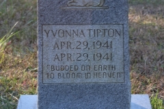 Crowe-Cemetery-Yvonna-Tipton