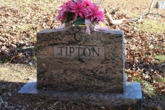 McIntosh-Cemetery-Patricia-Ann-Tipton-Back