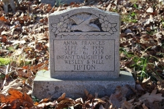 Tipton-No.1-Cemetery-Anna-Frances-Tipton-Infant