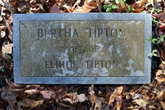 Tipton-No.1-Cemetery-Bertha-Tipton-