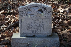 Tipton-No.1-Cemetery-David-Tipton-