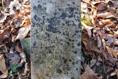 Tipton-No.1-Cemetery-Infant-Arnold-Tipton-