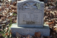 Tipton-No.1-Cemetery-John-Tipton-