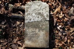Tipton-No.1-Cemetery-Mary-E.-Tipton-