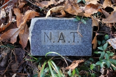 Tipton-No.1-Cemetery-Nancy-A-Tipton-initials-N.A.T.-