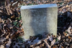 Truitt-Cemetery-Infant-Lawarnce-Son-of-Mr.-and-Mrs.-James-Tipton-Pic-1