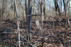Truitt-Cemetery-Tipton-Stone-in-background-