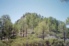 View up the Summit of Mount Tipton